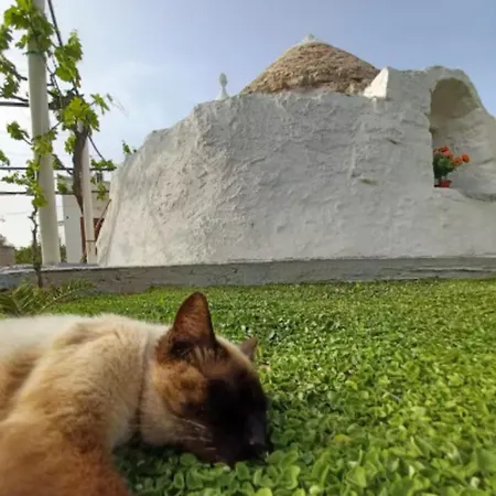 Trullo Negli Ulivi *