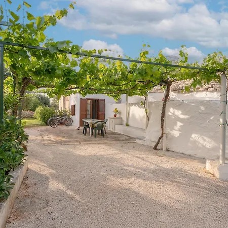 Trullo Negli Ulivi Hébergement de vacances