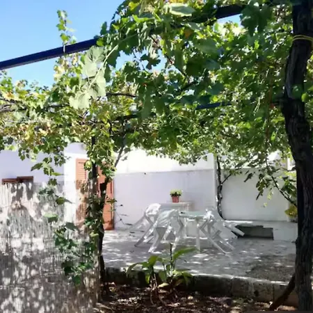 Trullo Negli Ulivi Hébergement de vacances